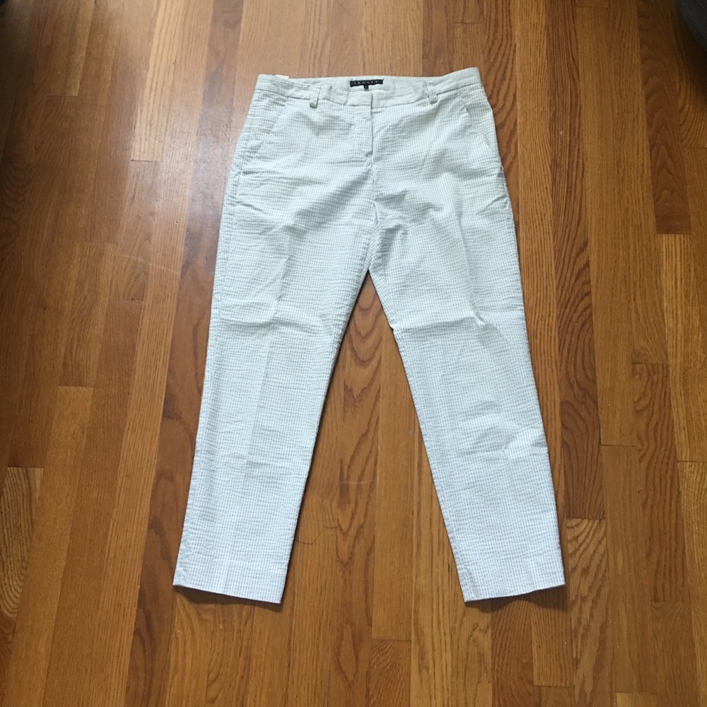 Theory Pants